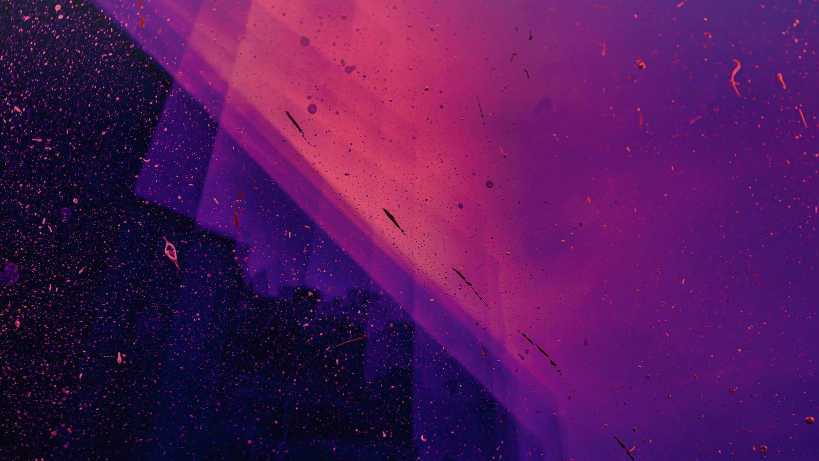 banner